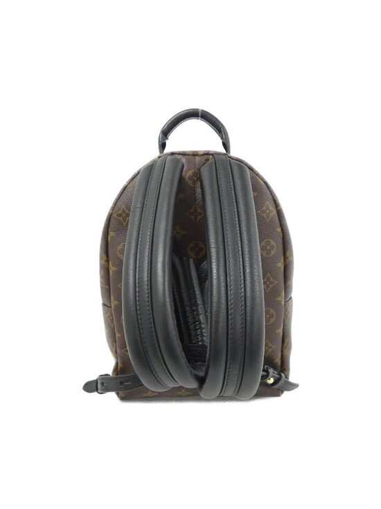Louis Vuitton Monogram Reverse Palm Springs Backpack PM